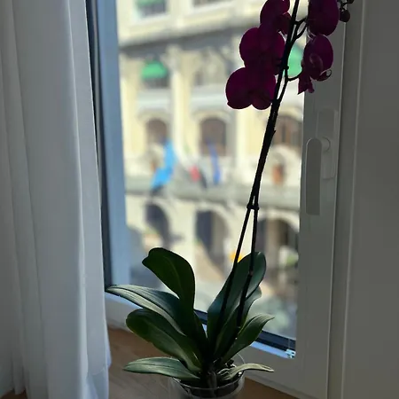 Conte Cavour 우디네